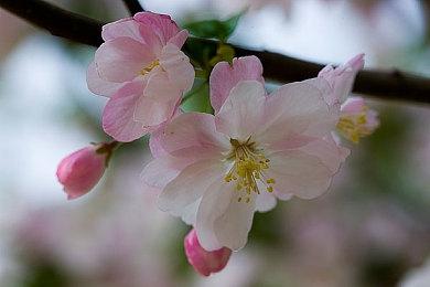 2006年育碧取消开发的《雷曼4》现已泄露